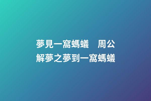 夢見一窩螞蟻　周公解夢之夢到一窩螞蟻